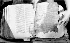 ALQ_169A_Page_39_011