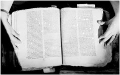 ALQ_169A_Page_39_017