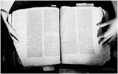 ALQ_169A_Page_39_019