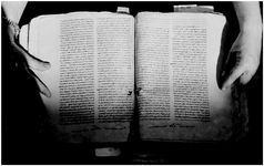 ALQ_169A_Page_40_008