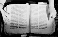 ALQ_169A_Page_40_011