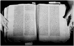 ALQ_169A_Page_41_001