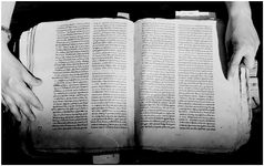 ALQ_169A_Page_41_002