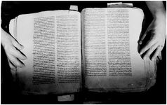 ALQ_169A_Page_41_005