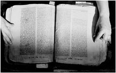 ALQ_169A_Page_41_006