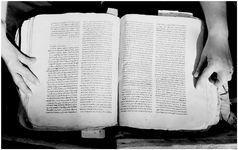 ALQ_169A_Page_41_011