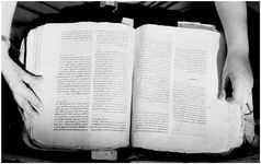 ALQ_169A_Page_41_013