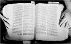 ALQ_169A_Page_41_015