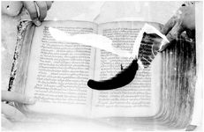 ALQ_237A_Page_72_002