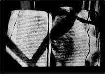 MOS_NEG_SYR_7_BAG_Page_146_013