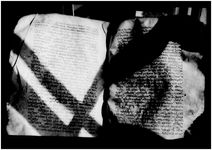 MOS_NEG_SYR_7_BAG_Page_147_029